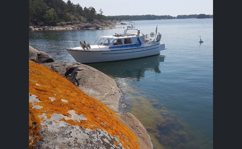 Albatross Flying 871-kuva-17